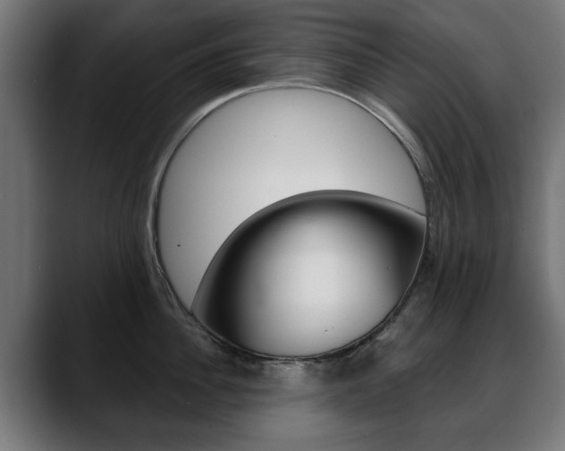 X0000088630956200705250855
