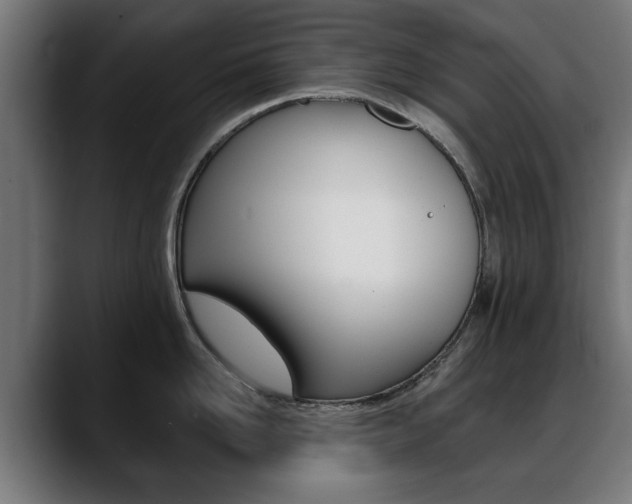 X0000088630958200705250855