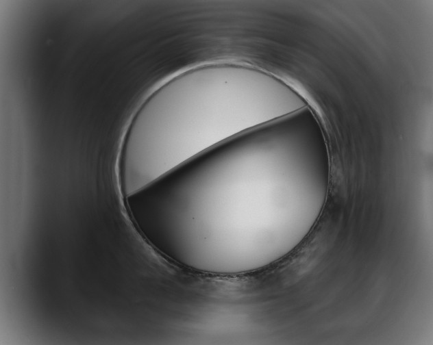 X0000088630959200705250855