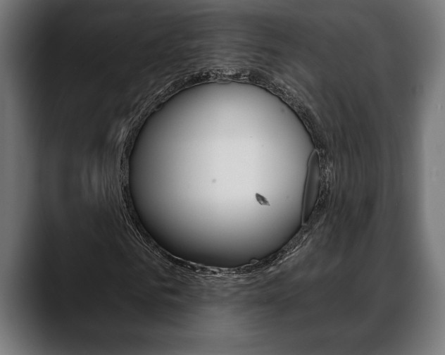 X0000088630961200705250855