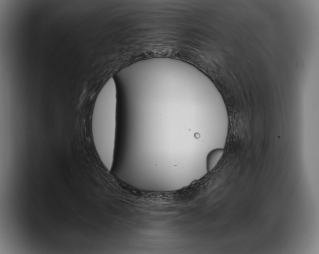 X0000088630962200705250855