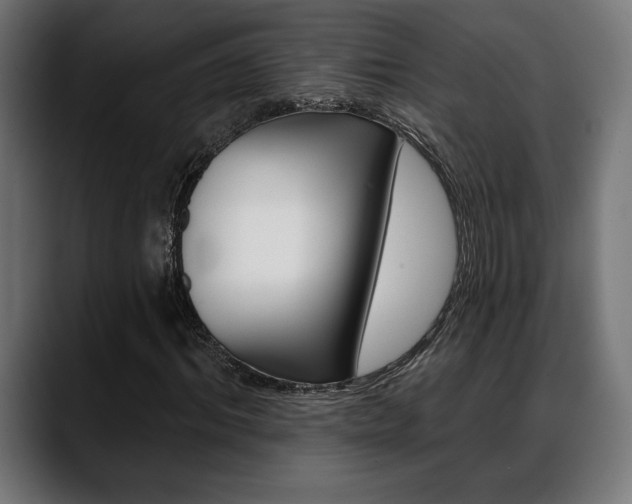 X0000088630964200705250855