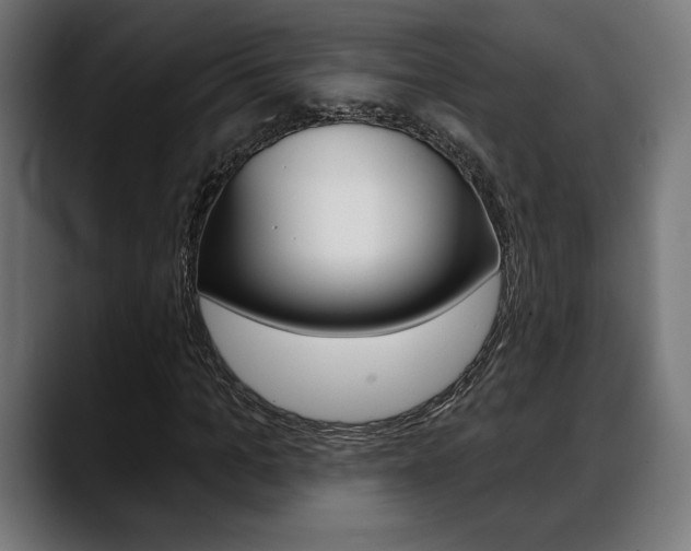 X0000088630965200705250855