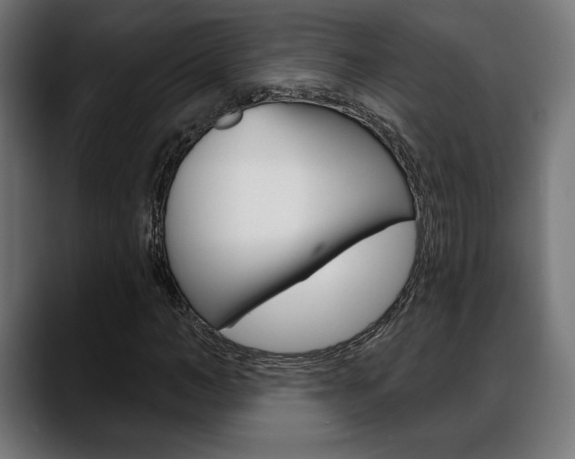 X0000088630966200705250855