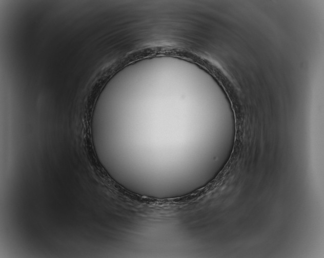 X0000088630967200705250855