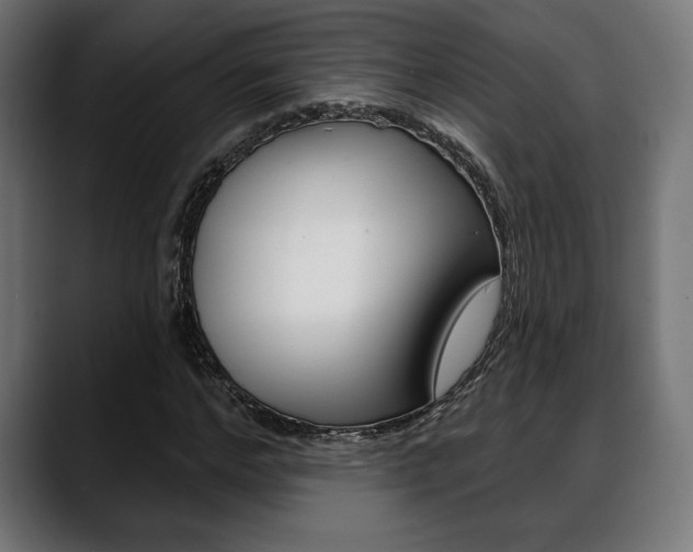 X0000088630968200705250855