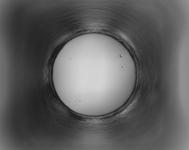 X0000088630970200705250855