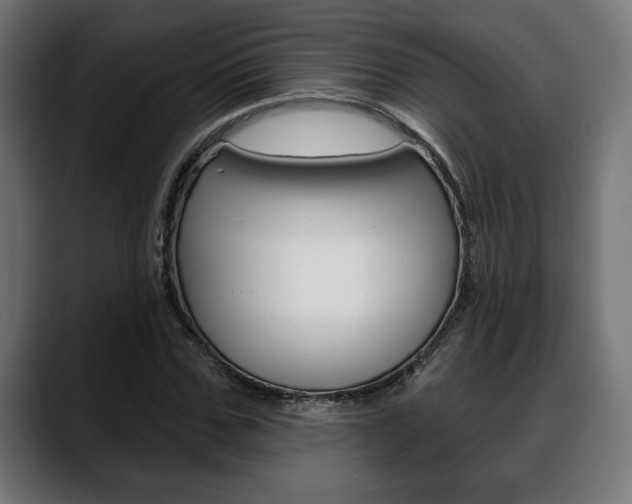 X0000088630971200705250855