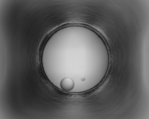 X0000088630974200705250854