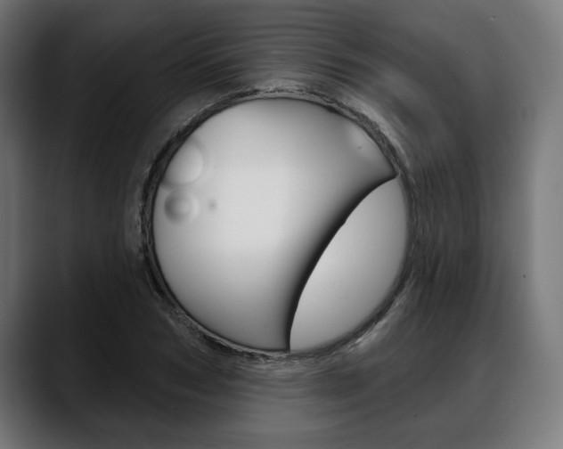 X0000088630978200705250854