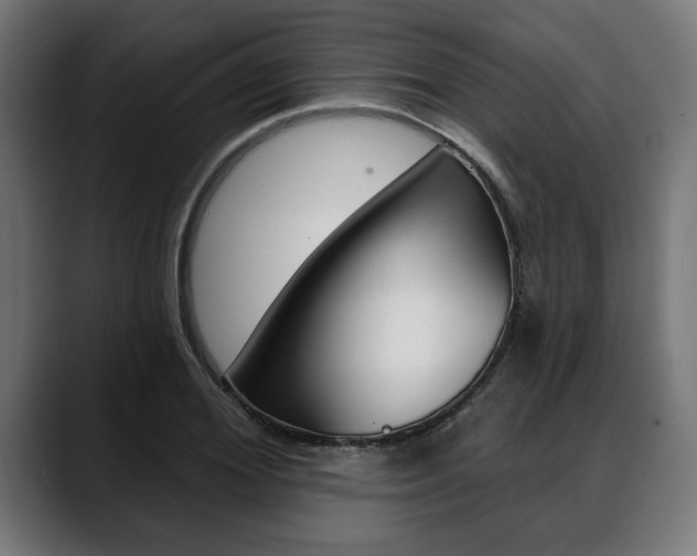 X0000088630980200705250854