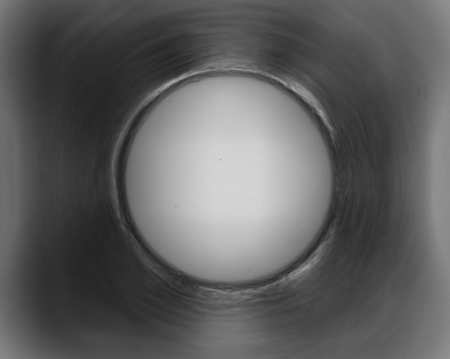 X0000088630981200705250854