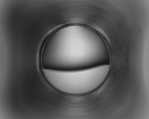 X0000088630983200705250854