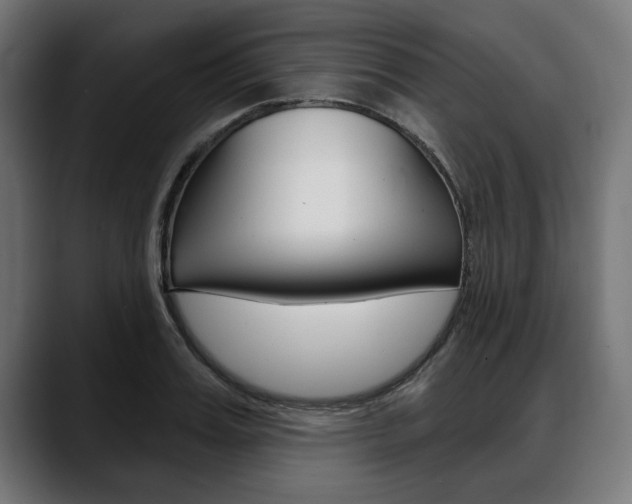 X0000088630987200705250854
