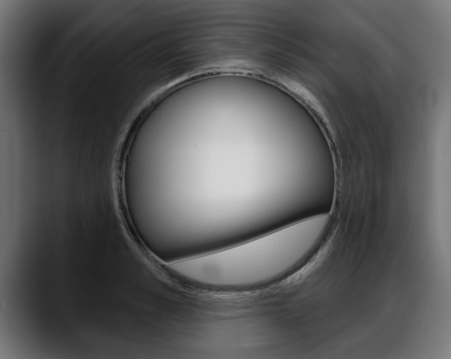 X0000088630989200705250854
