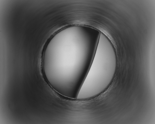 X0000088630992200705250854