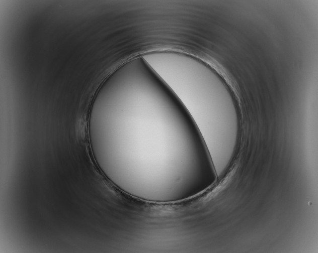 X0000088630993200705250854