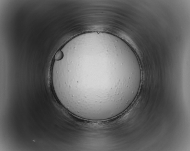 X0000088630994200705250854