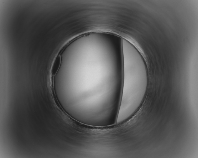 X0000088630996200705250854