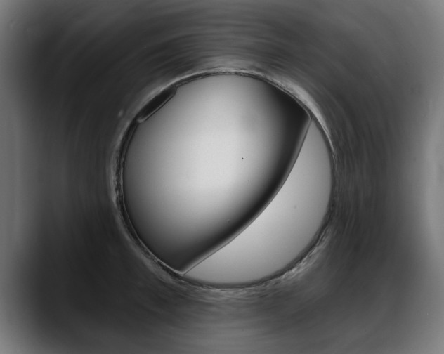 X0000088630997200705250854