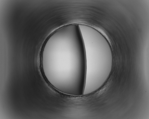 X0000088630999200705250854