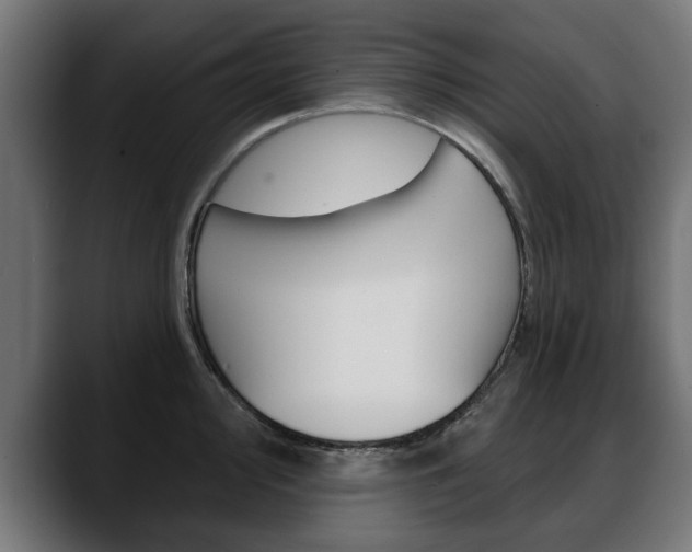 X0000088631000200705250854