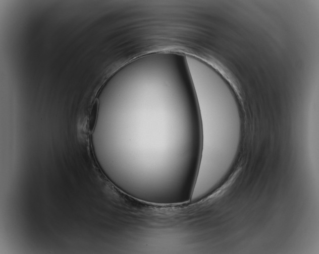 X0000088631001200705250854