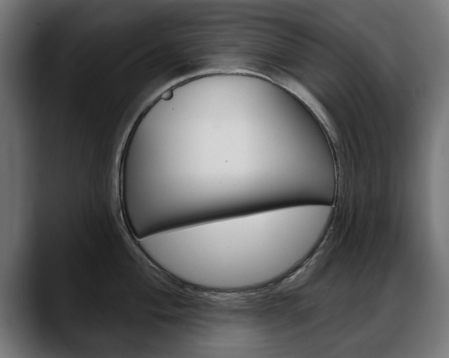 X0000088631004200705250854