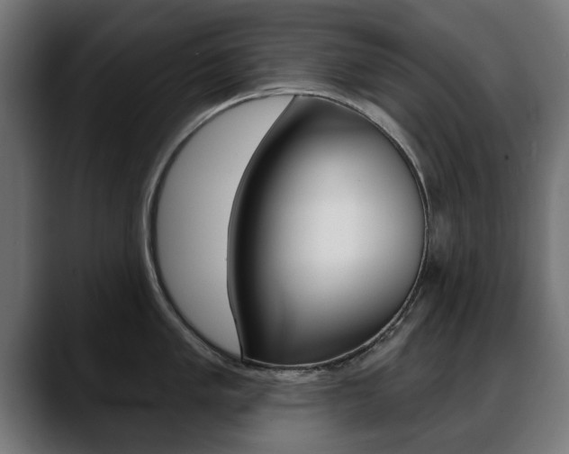 X0000088631005200705250854