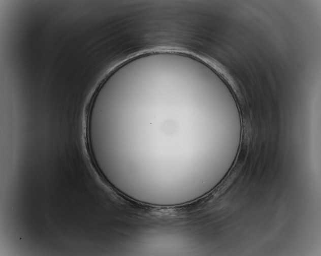 X0000088631006200705250854