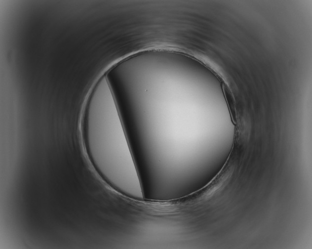 X0000088631007200705250854