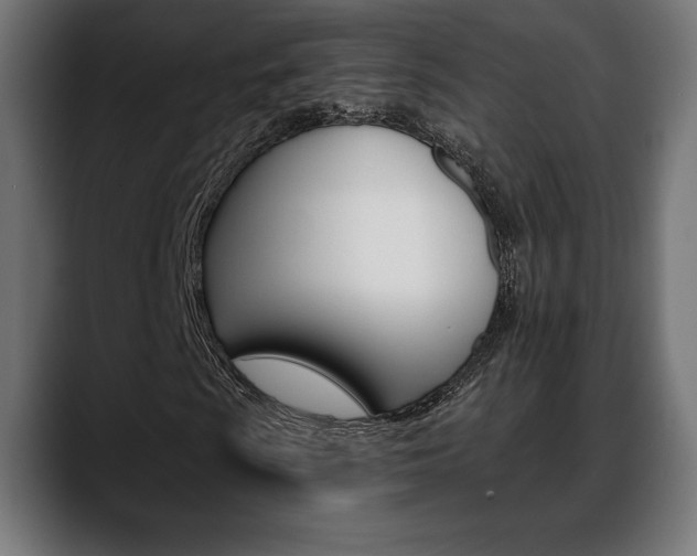 X0000088631009200705250853