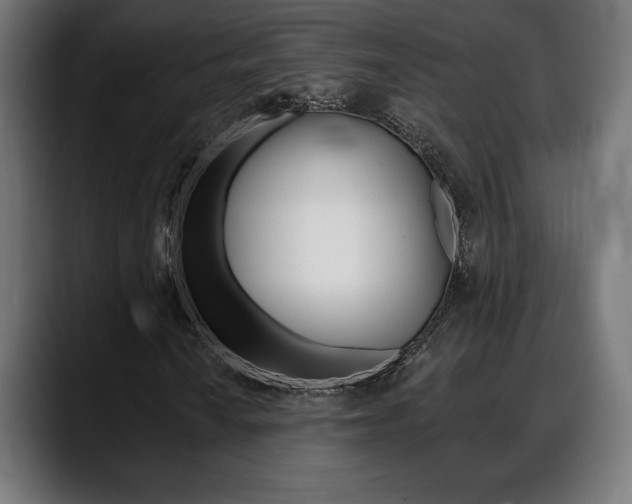 X0000088631010200705250853