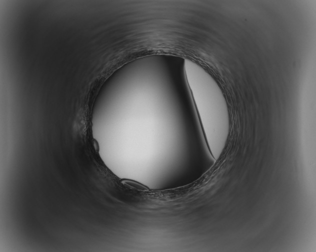 X0000088631012200705250853