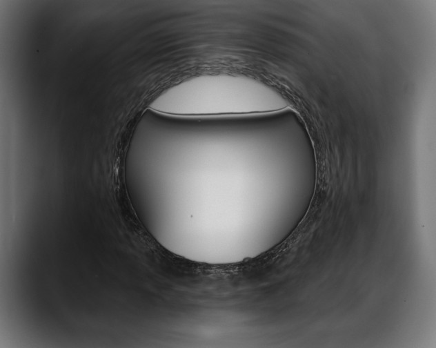 X0000088631013200705250853