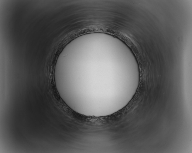 X0000088631015200705250853