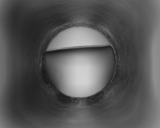 X0000088631016200705250853