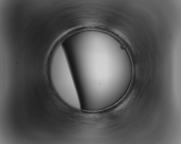 X0000088631021200705250854