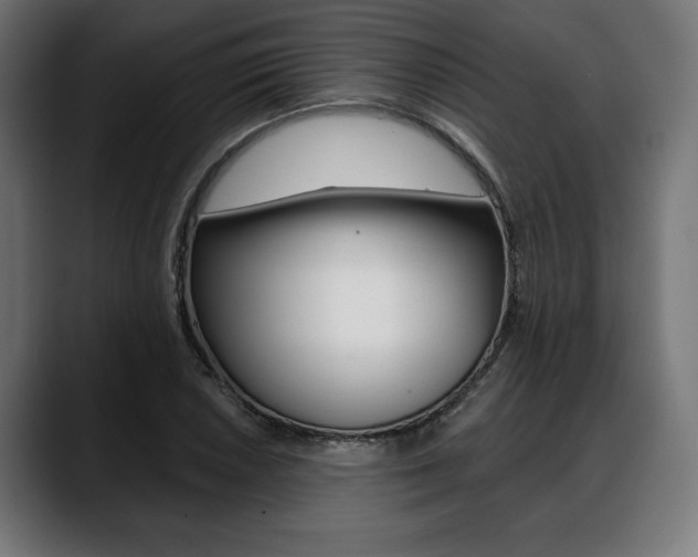 X0000088631026200705250854