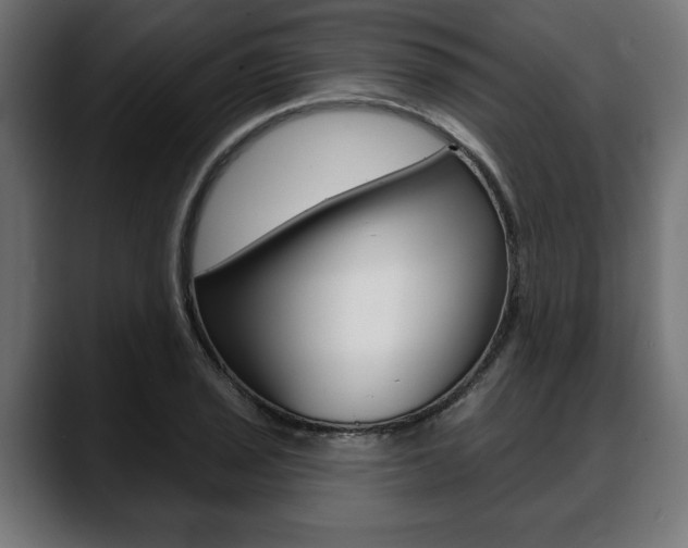 X0000088631029200705250854