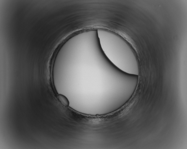 X0000088631031200705250854