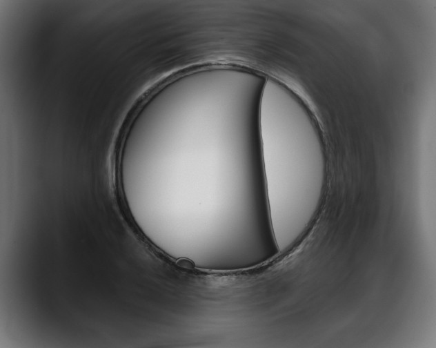 X0000088631032200705250854