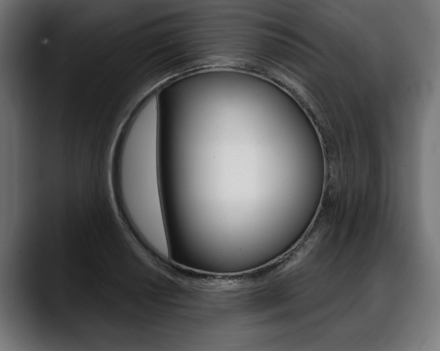 X0000088631034200705250854