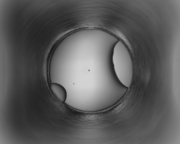 X0000088631035200705250854