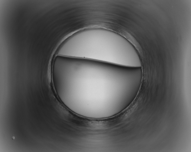 X0000088631036200705250854