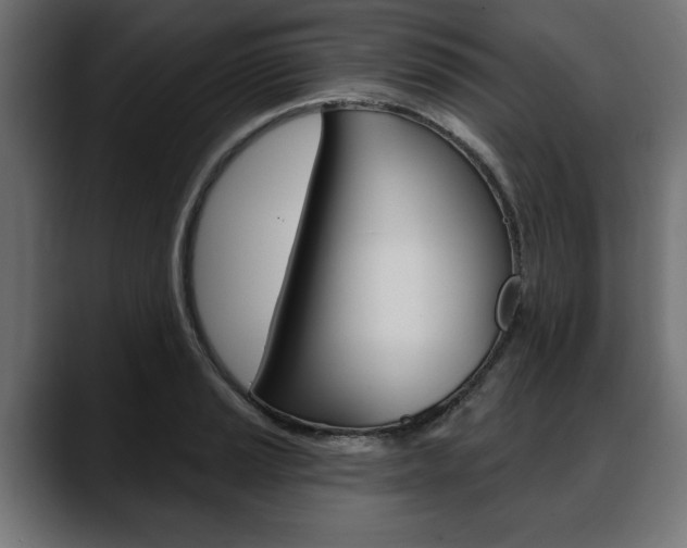X0000088631037200705250854