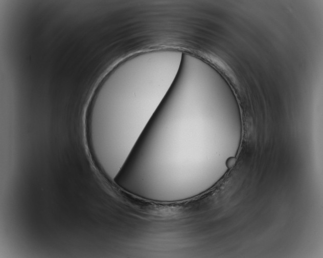 X0000088631039200705250854