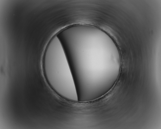 X0000088631040200705250854