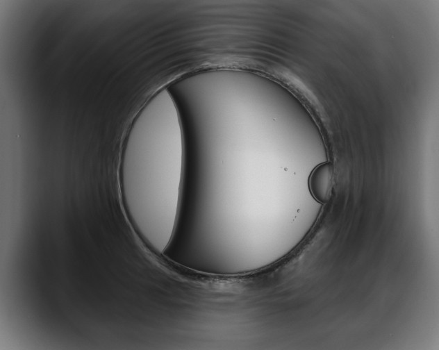 X0000088631041200705250854