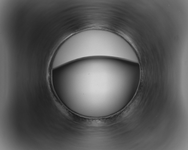 X0000088631042200705250854